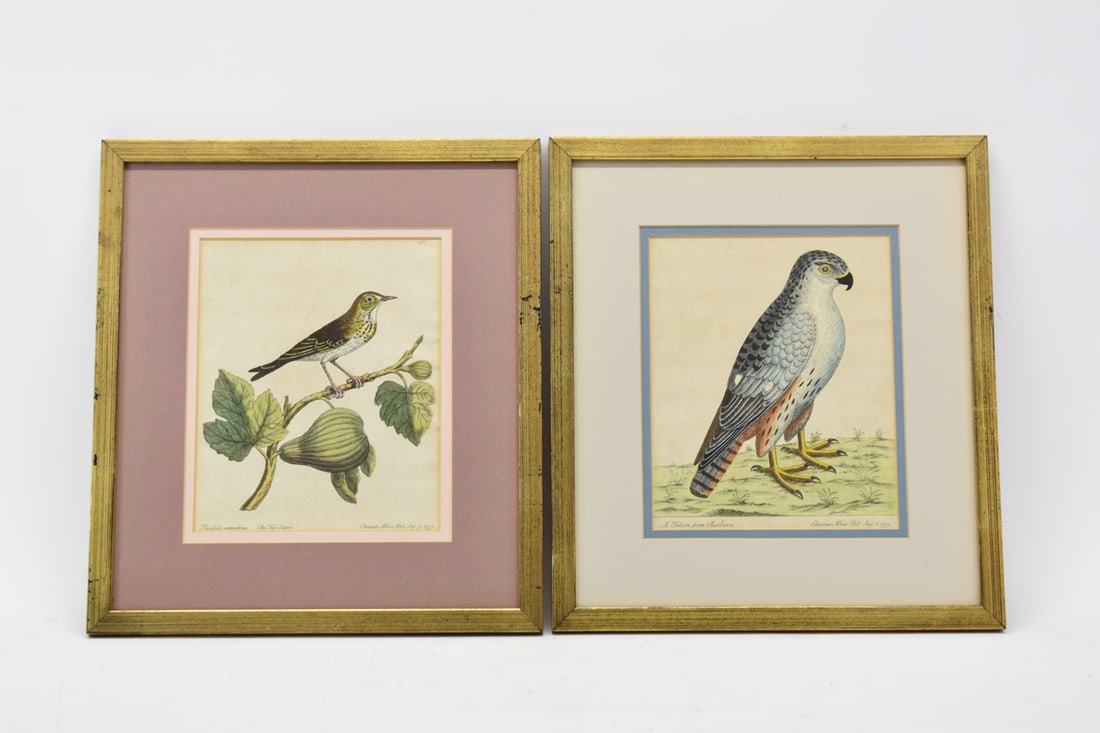 Two Antique Colored Prints of Birds (1 of 14)