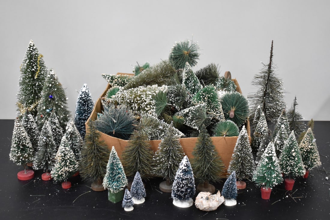 Large Group of Assorted Miniature Pine Trees (1 of 5)