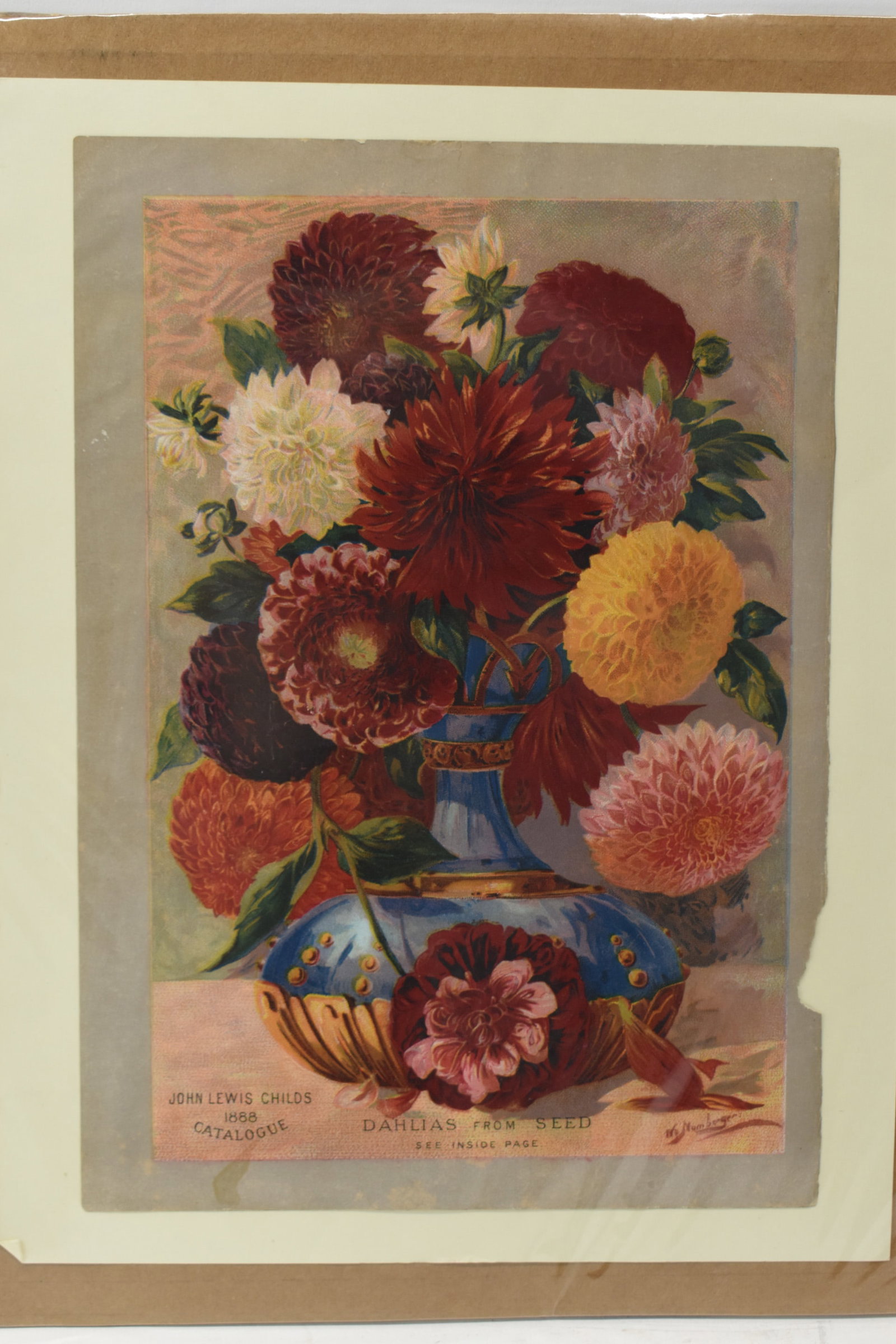 1888 John Lewis Childs Full Color Catalog Cover (1 of 6)