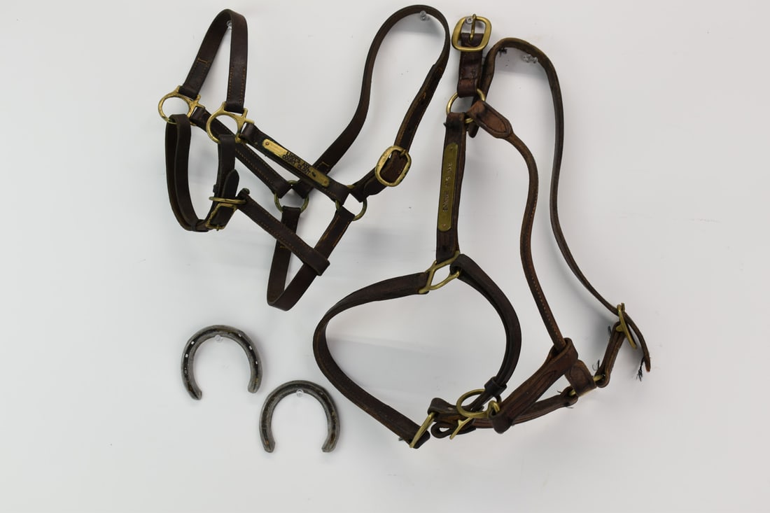 Two Vintage Leather Horse Bridles (1 of 7)