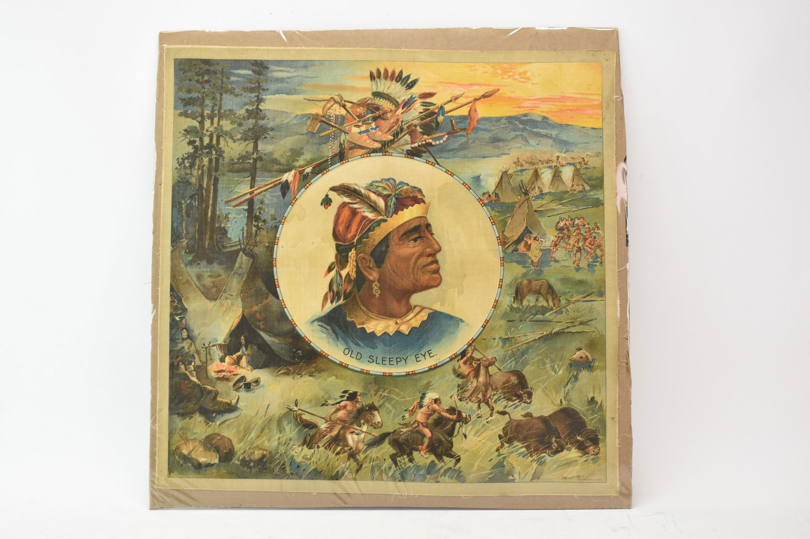 Rare Native American Vignettes on Fabric (1 of 8)