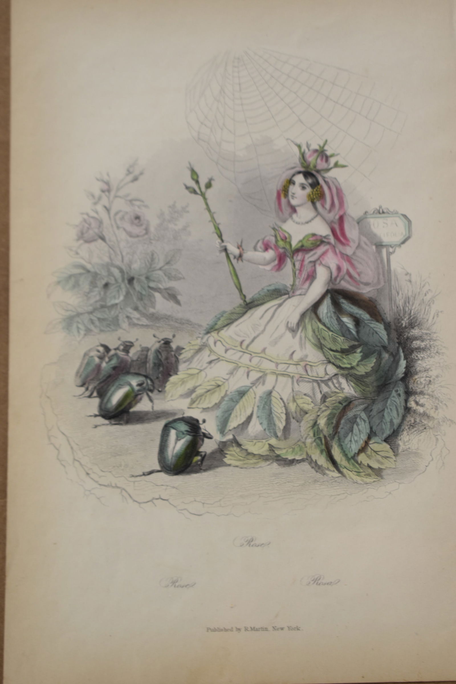 RARE Antique Print of Grandville’s “Rose (1 of 7)