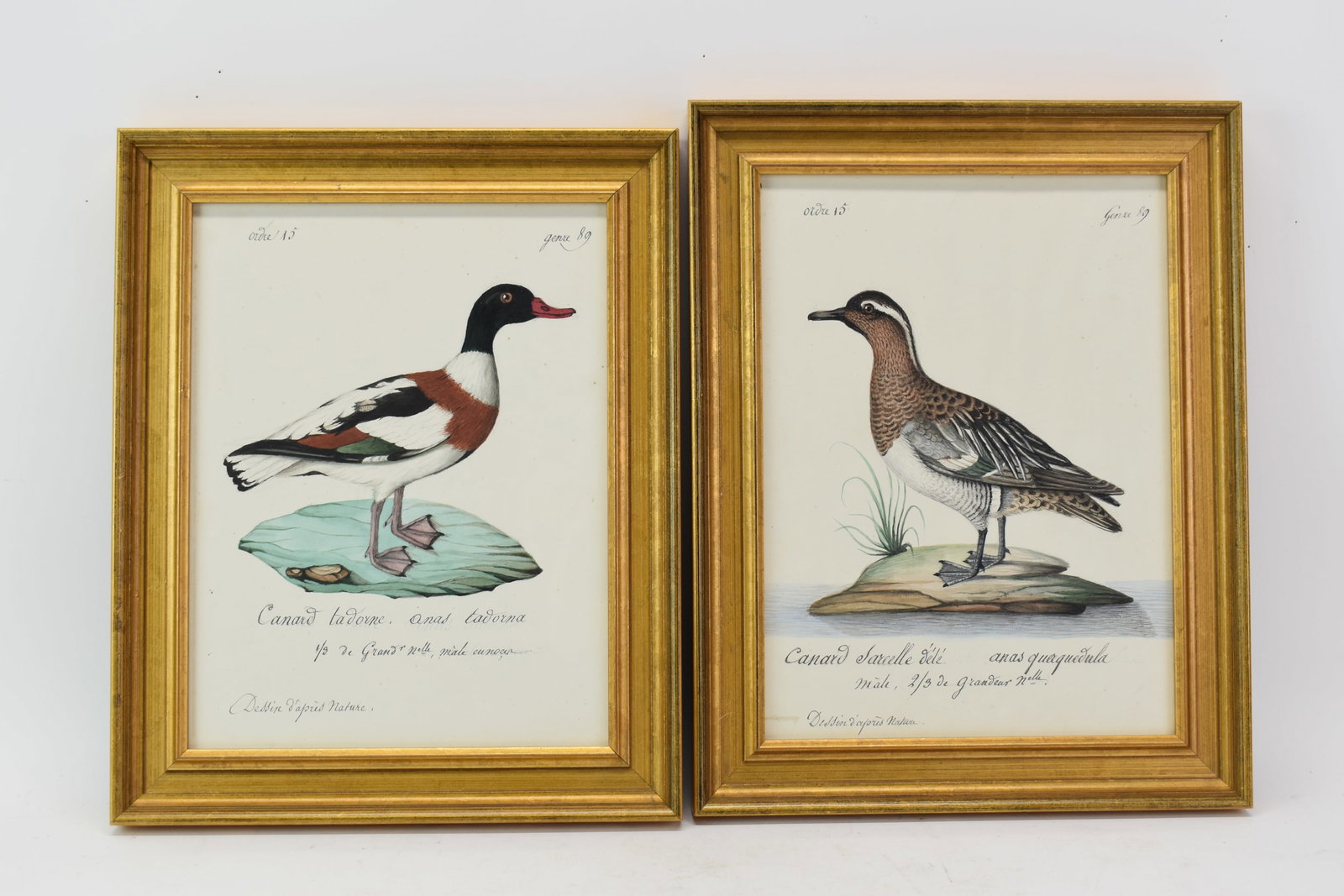 Two Continental Mixed Medias of Shore Bird and Duck: Two Continental Mixed Medias of Shore Bird and Duck Two Continental Mixed Medias of Shore Bird and Duck. Used condition, one framed size 14" x 11" and the other 13 1/2" x 11"