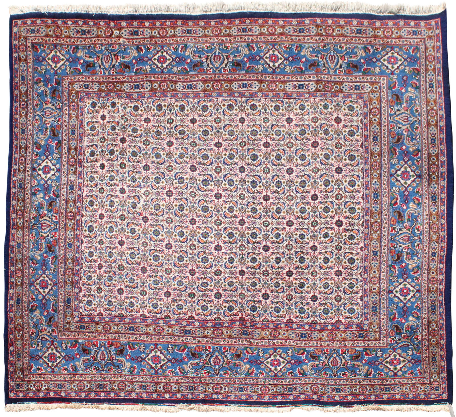 Moud Carpet: Moud Carpet Northeast Iran, contemporary 7’l x 7’w