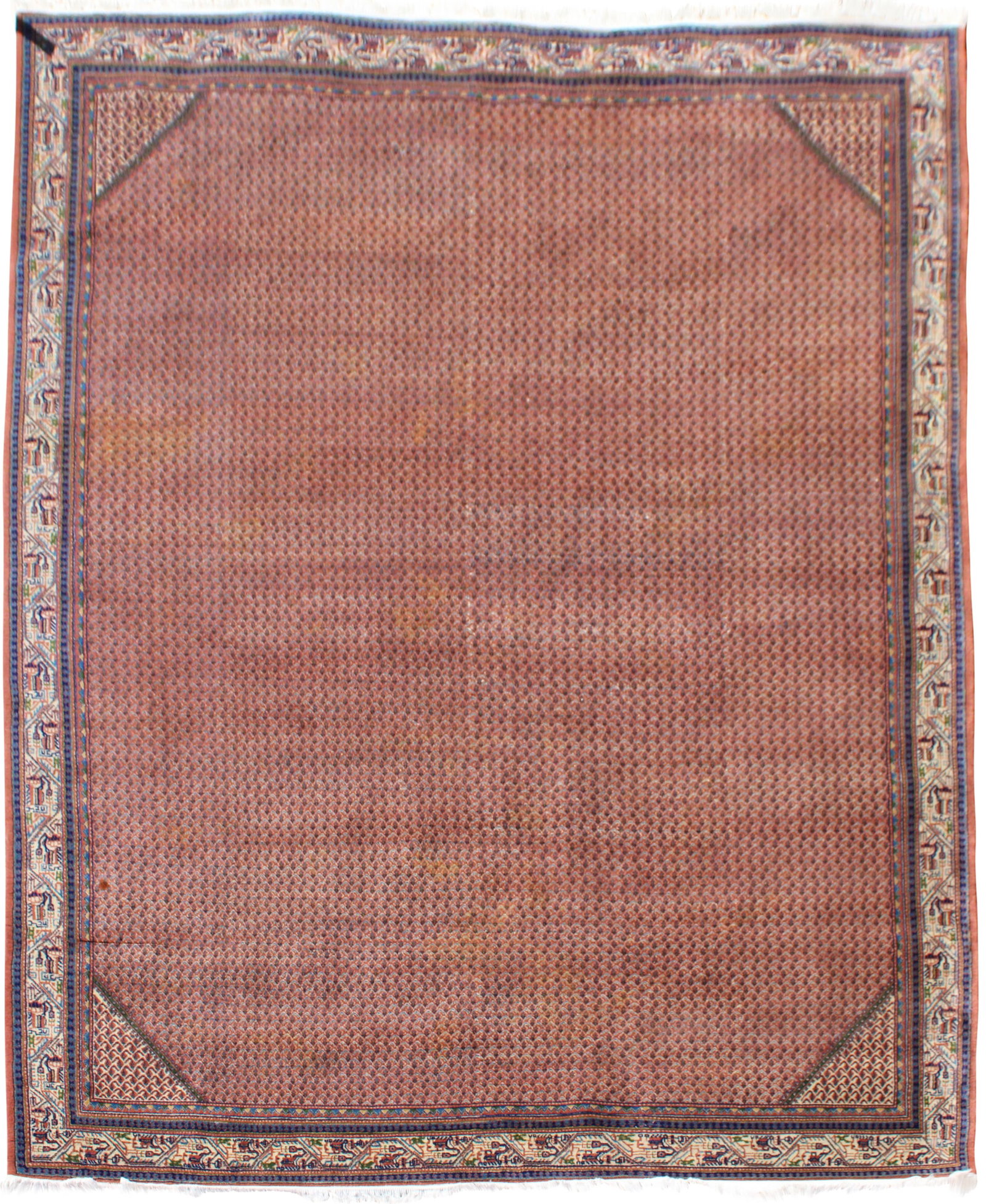 Saraband Carpet: Saraband Carpet Northwest Iran, 2nd half 20th Century Stains, added machine fringes 11’6”l x 8’w