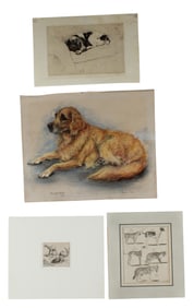 Marjorie Cox, English 1915-2003, Rupurt, Pastel