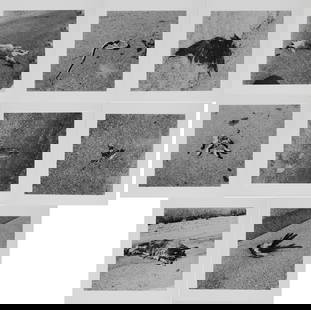Robert Kinmont, American 1937-, 26 Dead Animals, Silver Gelatin Prints: Robert KinmontAmerican, 1937-26 Dead AnimalsSilver Gelatin PrintsArtist portfolio containing 16 prints, dated 1967-70/2011, Edition 4 of 4.Each Sheet: 8 x 8 in. (20.3 x 20.3 cm.)