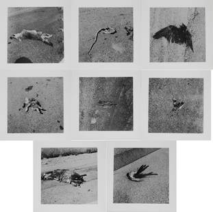 Robert Kinmont, American 1937-, 26 Dead Animals, Silver Gelatin Prints: Robert Kinmont American, 1937- 26 Dead Animals Silver Gelatin Prints Artist portfolio containing 16 prints, dated 1967-70/2011, Edition 4 of 4. Each Sheet: 8 x 8 in. (20.3 x 20.3 cm.)