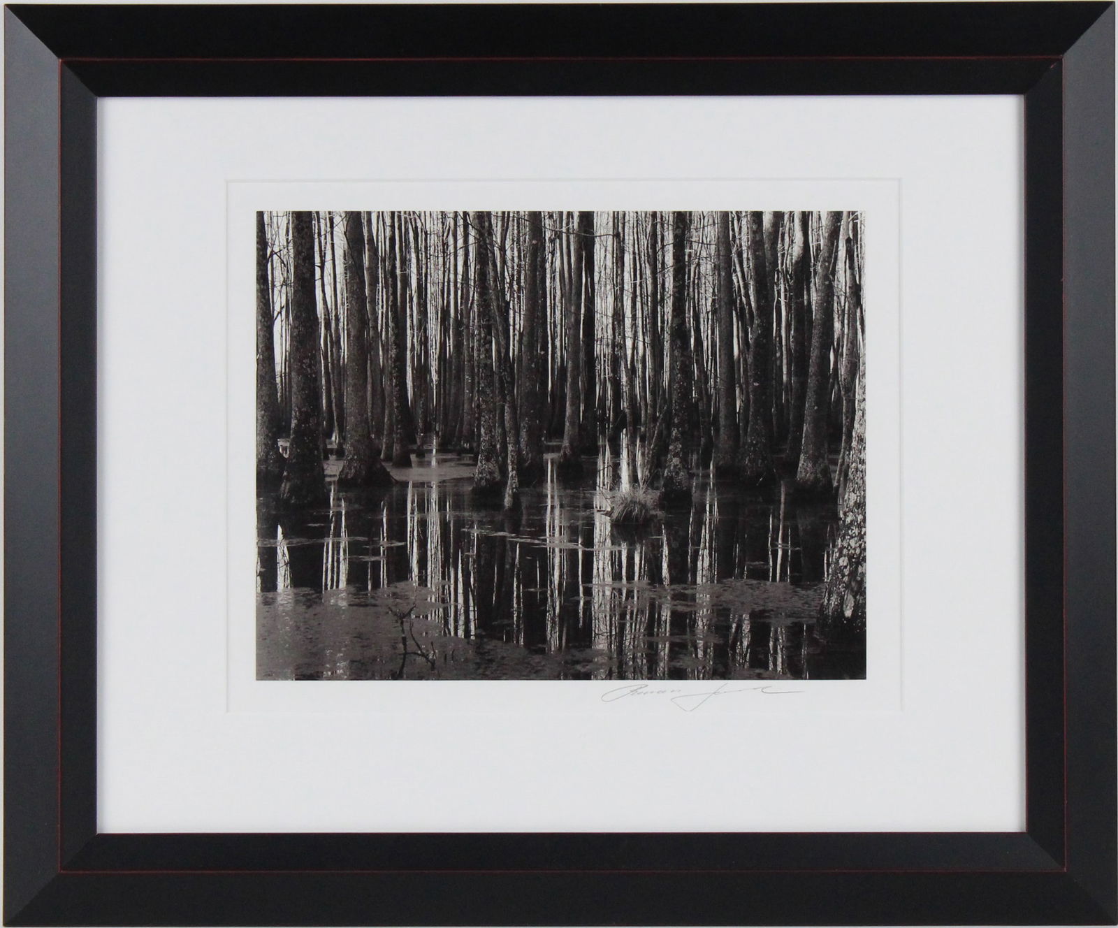 Roman Loranc, Polish 1956-, Savannah River, Black & White Photograph: Roman LorancPolish, 1956-Savannah RiverBlack & White PhotographSigned verso in pencil, ed. 16/25, discontinued negative, signed l.r.Sight: 9 3/4 x 12 3/4 in. (24.8 x 32.4 cm.), Frame: 19 1/2 x 23 1/2