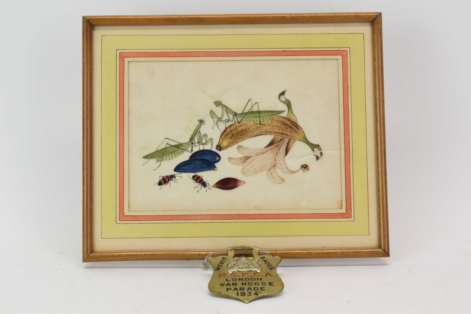 Vintage 1934 R.S.P.C.A. London Van Horse Parade Merit Badge (1 of 11)