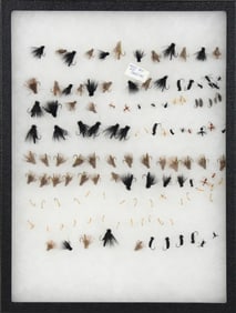 Group of Flies by Ed Shenk