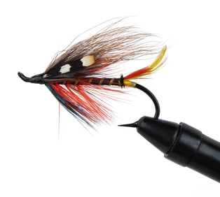 Megan Boyd Salmon Fly