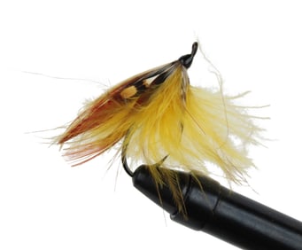 Megan Boyd Salmon Fly