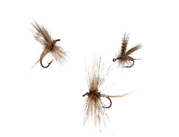 Large Group of Assorted American Flies
