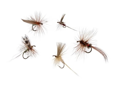 Fifty-One Vintage Flies from the Dette Family