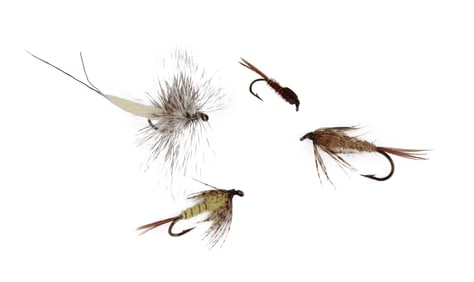 Twelve Vintage Flies from the Dette Family