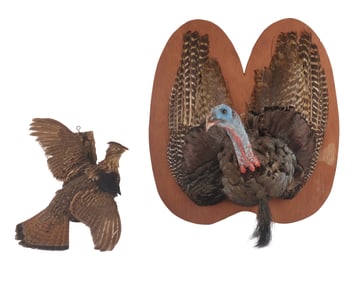 Turkey and Quail Taxidermy Mount