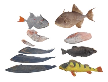 Four Taxidermy Fish