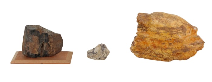 Petrified Wood, Tom Miner Basin, Montana