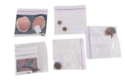 Five Assorted Small Fossils