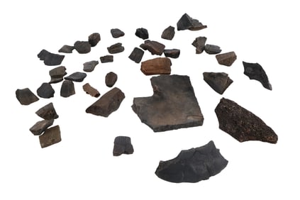 Large Group of Turtle Shell Fragments, Pleistocene