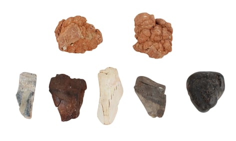 Three Copralite Fossils