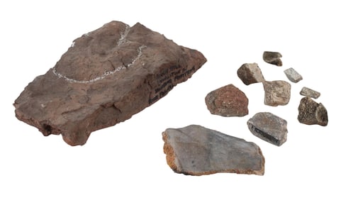 Dinosaur Footprint Fossil, River Hill