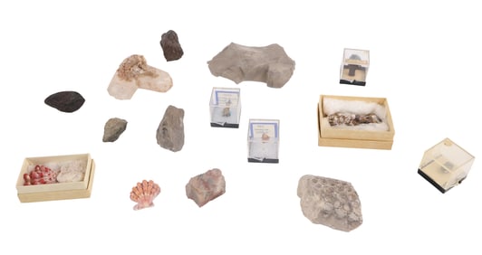 Group of Assorted Gems, Rocks, Minerals, and Fossils