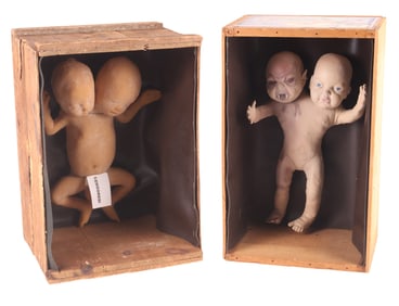 Two Two Head-Baby Sideshow Gaffs