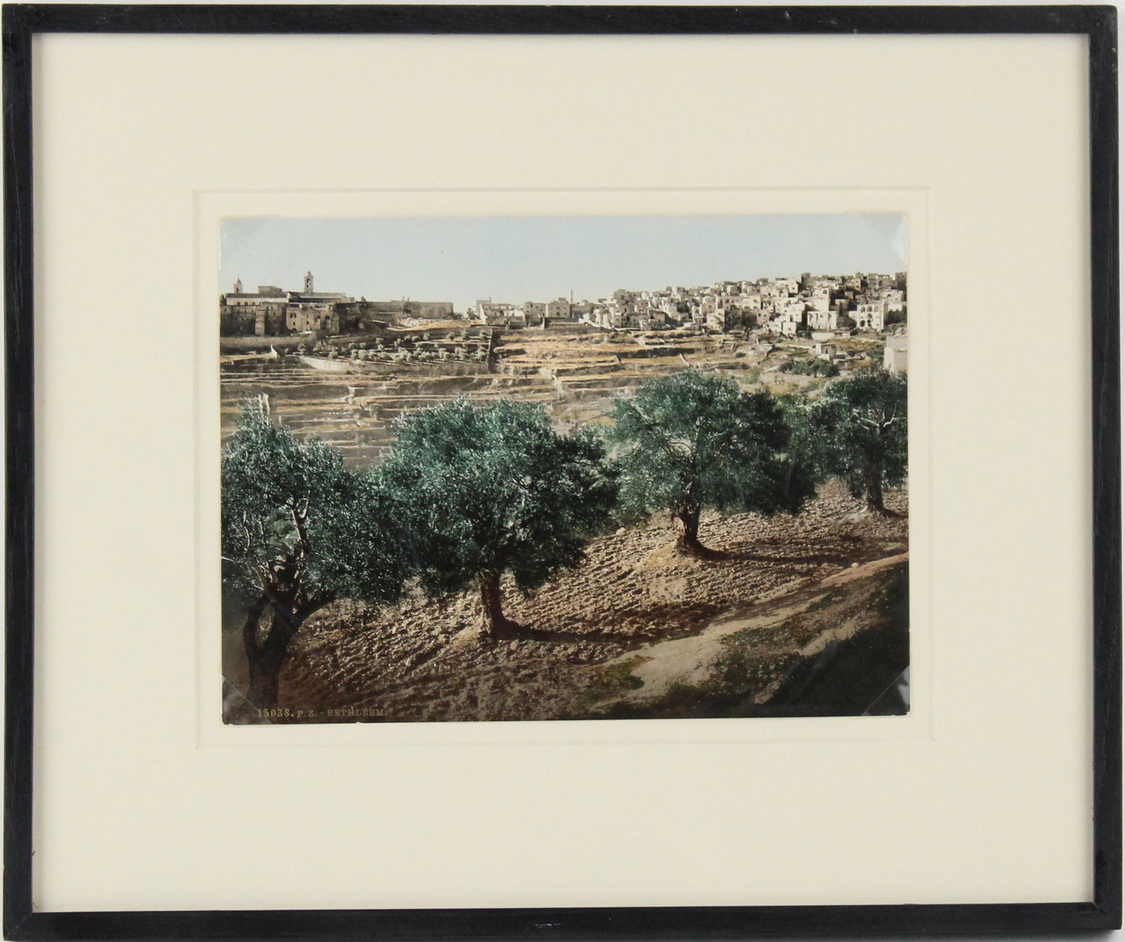 Bethlehem, Photochrome: Bethlehem Photochrome From the Zurich and Herzog Collection. Olive trees and Bethlehem. Provenance: The Estate of Theodore A Bonin Sight: 6 1/2 x 8 3/4 in. (16.5 x 22.2 cm.), Frame: 12 x 14 1/2 in. (3