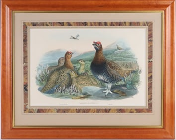John Gould, British 1804-1881, Lagopus Scoticus (Red Grouse), Hand-Colored Lithograph