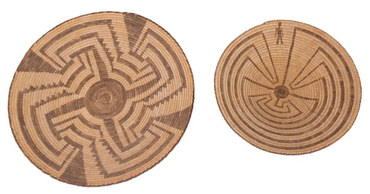 Pima Small Harvesting Trays