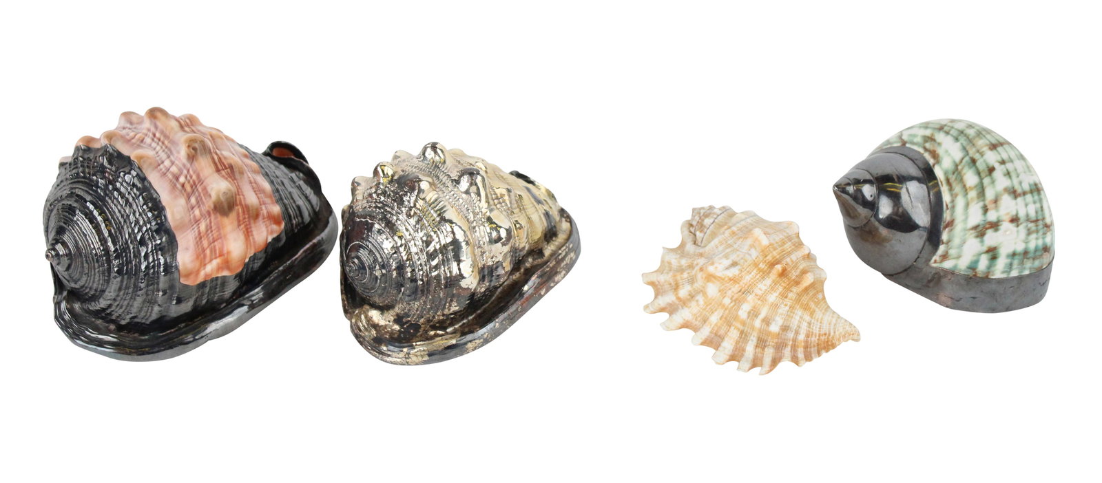 Three Silver Plated Seashells (1 of 13)