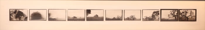 A Day or Part of a Day, Series of Printed Photographs