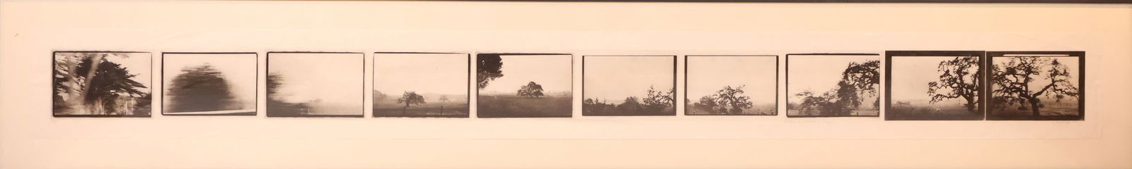 A Day or Part of a Day, Series of Printed Photographs