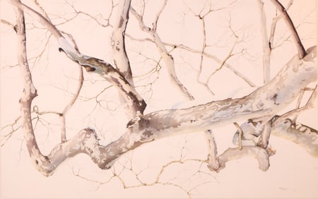 Charles Clinton Pitcher, American 1927-2009, Snow Covered Sycamore Tree, Watercolor on Paper