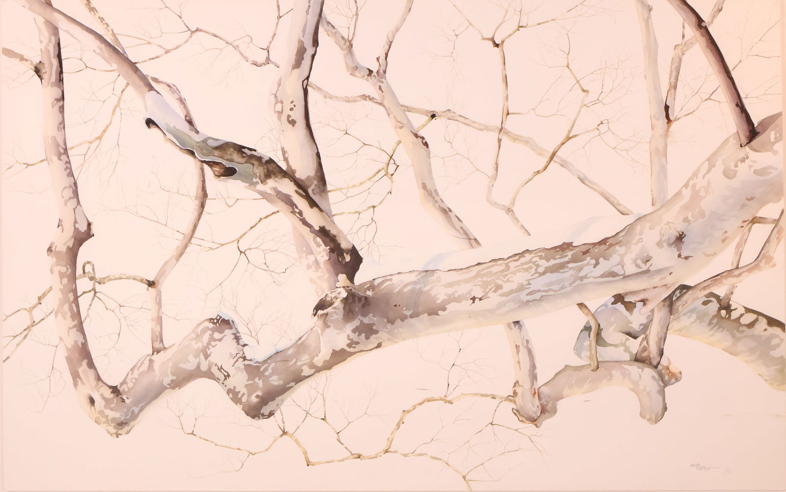 Charles Clinton Pitcher, American 1927-2009, Snow Covered Sycamore Tree, Watercolor on Paper (1 of 13)