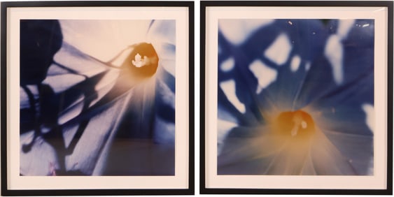 Close Up of Flowers, Two Color Photographs