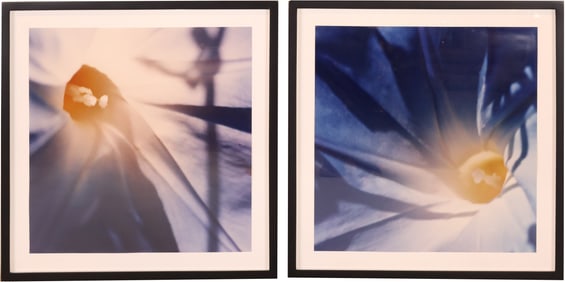 Close Up of Flowers, Two Color Photographs