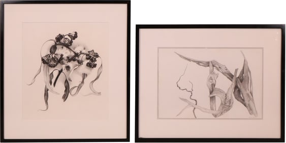 Cynthia Young, 1933-2015, Branch, Pencil on Paper