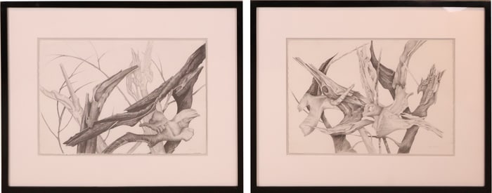 Cynthia Young, 1933-2015, Two Branch and Leaves, Pencil on Paper