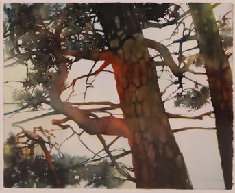 Deborah Ellis, Tree Top Abstract, Watercolor