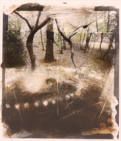 Embellished Photograph of a Forest, Lithograph