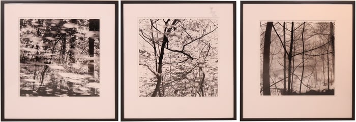 Harry Kalish, Three Forest Scenes, Black and White Photographs