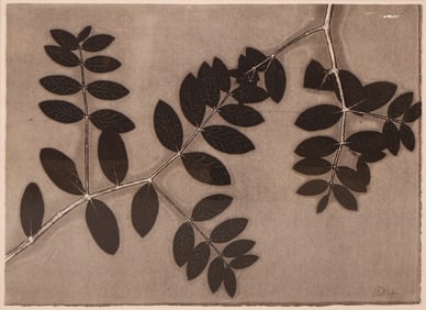 Leaves on Branch, Black and White Etching