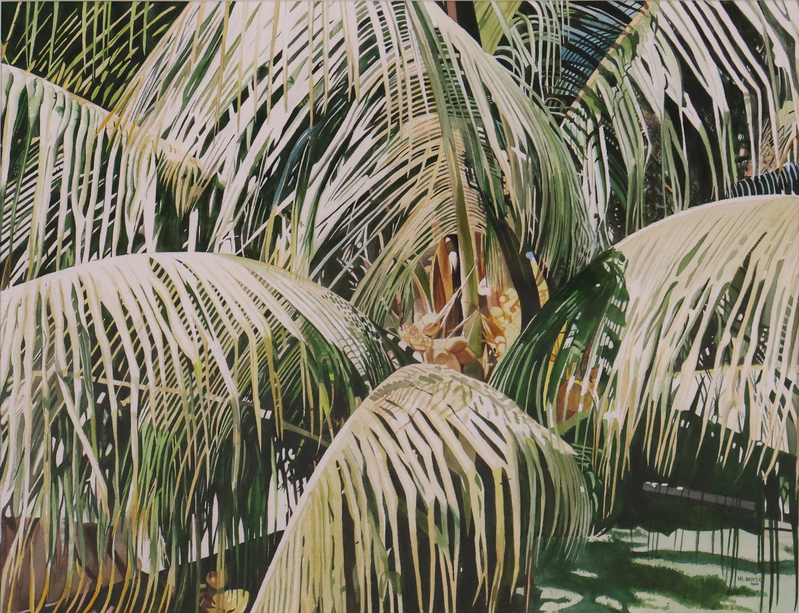 M Meyer, Palm Fronds, Gouache and Watercolor: M Meyer Palm Fronds Gouache and Watercolor Signed l.r. Sight: 19 1/2 x 25 1/2 in. (49.5 x 64.8 cm.), Frame: 29 x 35 x 2 in. (73.7 x 88.9 x 5.1 cm.)