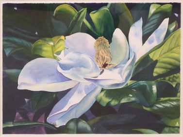 Magnolia Flower, Watercolor