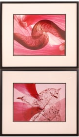 Pink Flower and Leaf, Two Color Photographs