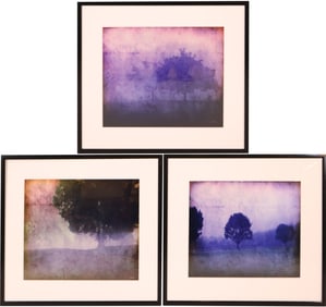 Plaisted, Purple Toned Trees, Three Digitally Altered Photographs