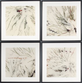 Snow Covered Pine Needles, Four Color Photographs
